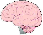 Neurology reports transcription